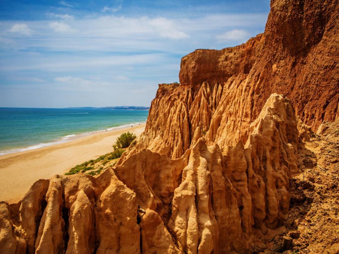 Praia Da Rocha By Ricardo Portimão Dış mekan fotoğraf