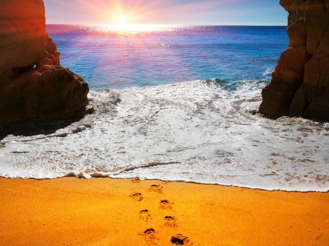 Praia Da Rocha By Ricardo Portimão Dış mekan fotoğraf