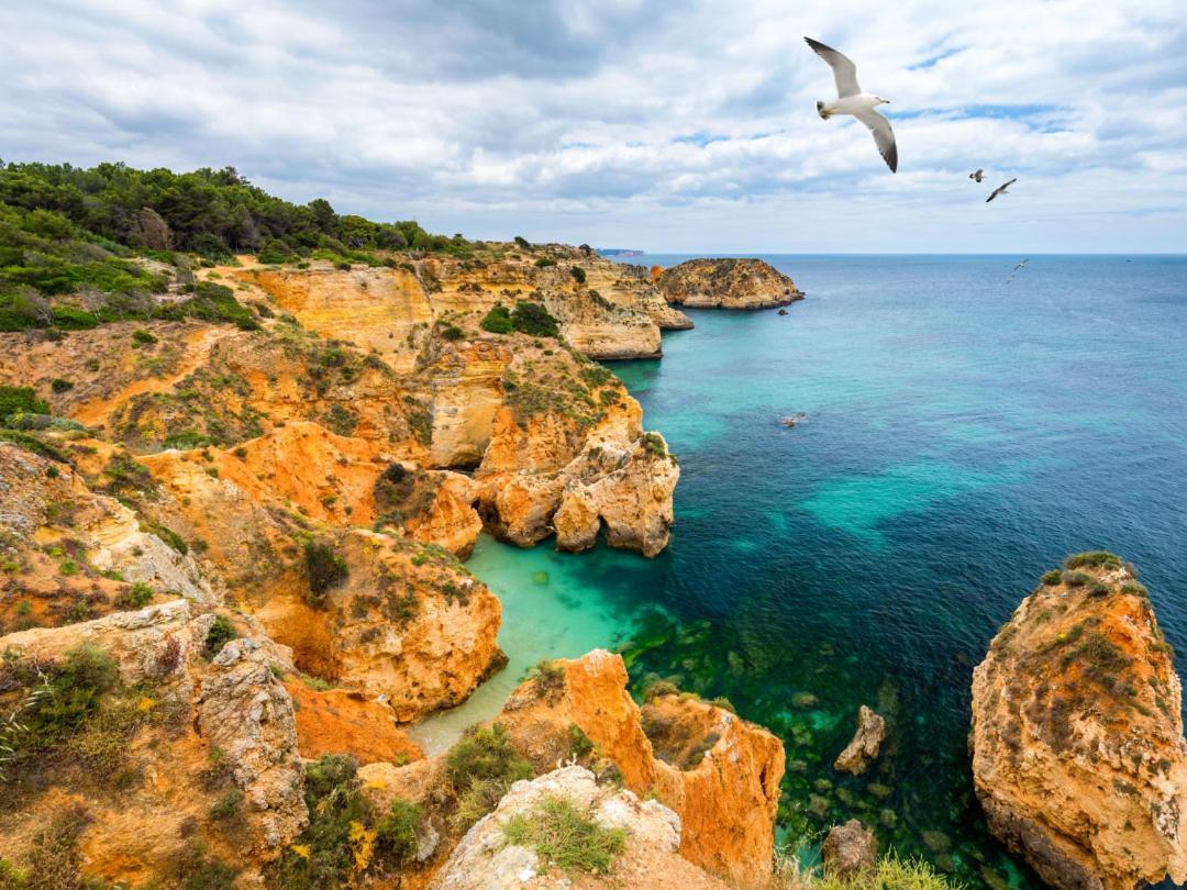 Praia Da Rocha By Ricardo Portimão Dış mekan fotoğraf